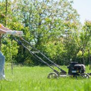 Choosing the Right Lawn Mowing Service in Newport