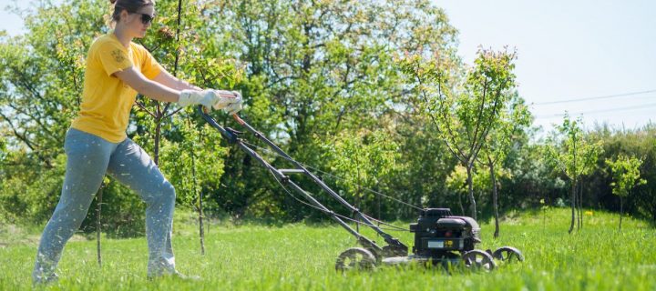Choosing the Right Lawn Mowing Service in Newport
