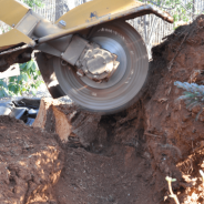 Find Service That Offers Stump Grinding Services at Affordable Rates.