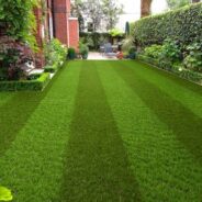 Green All Year: The Wonders of Artificial Grass