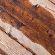 Choosing The Right Wood Floor Drying Services In Melbourne