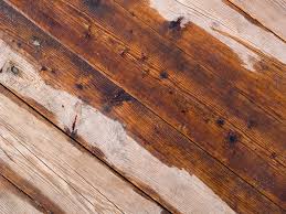 wood floor drying Melbourne