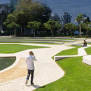 Expert Landscape Design in Melbourne at TF Landscaping